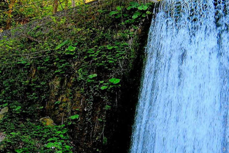 Sapanca and Ma'souqia trip