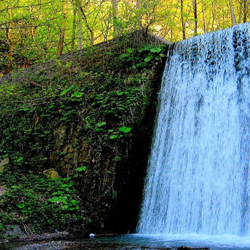 Sapanca and Ma'souqia trip