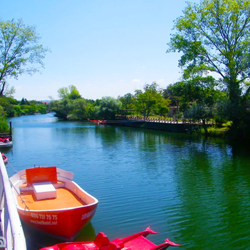 The Sheila and Agua journey